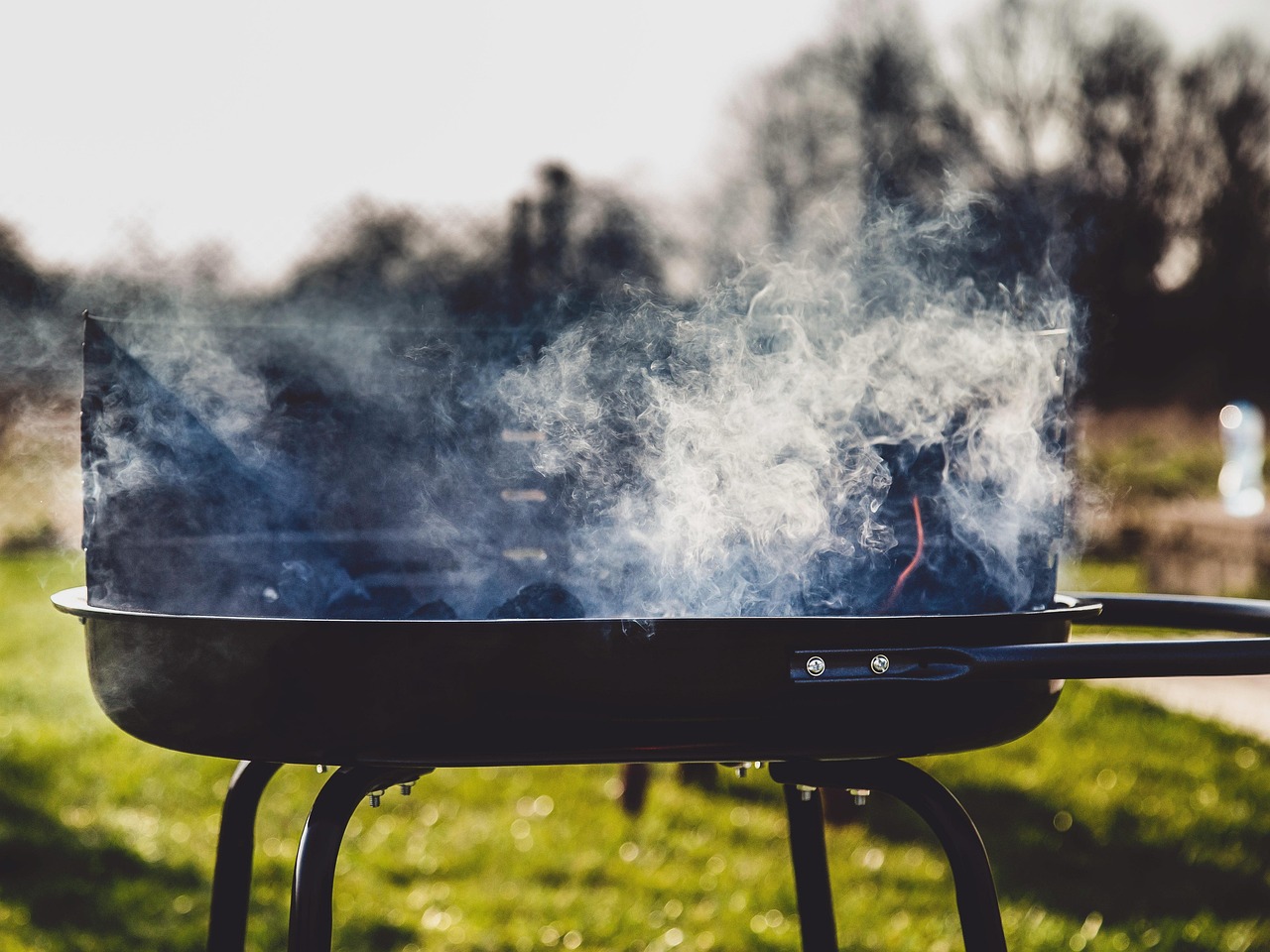 grill, smoke, barbecue, bbq, barbeque, cooking, summer, nature, grilling, cookout